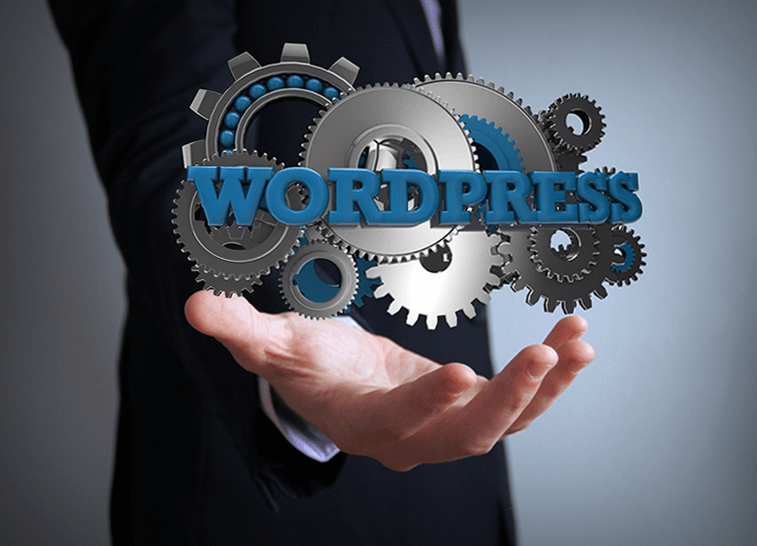 WordPress Services, Net10 Internet Services WordPress Services, Net10 Internet Services