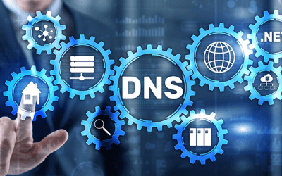 A Closer Look at How Net10.net Manages DNS for Our Customers